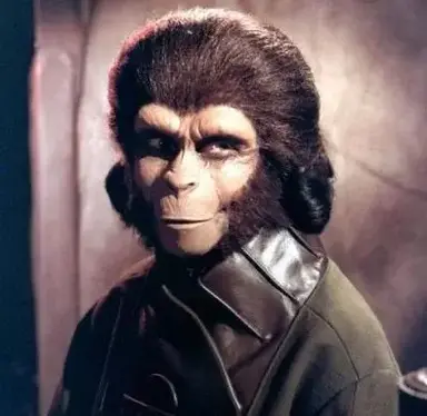 Profile image of Zira