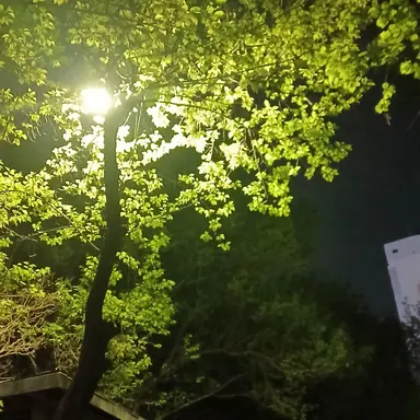 Profile image of 고지흔