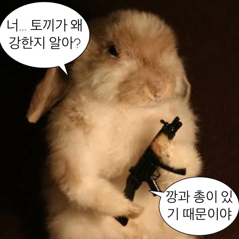 WrySong7869의 화나서 총든 수현님