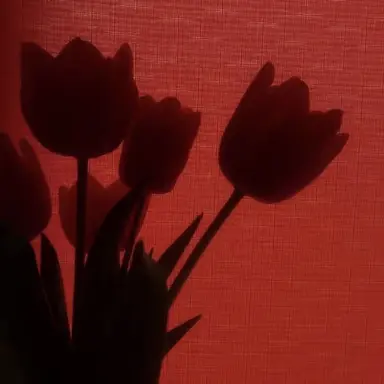 Profile image of 라더