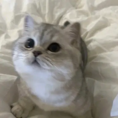 Profile image of 김규빈