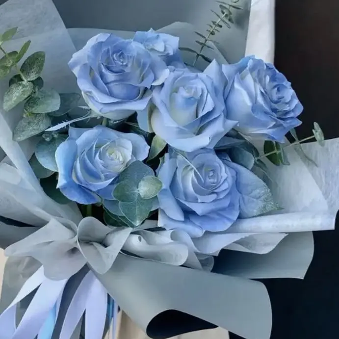 DecentPast9746의 ゴヌ　ジュンギュ