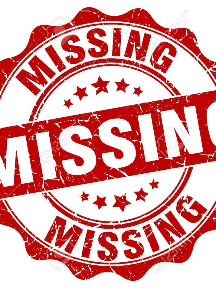 2011GOZEN0315의 帰還者