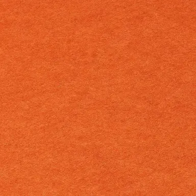 Profile image of 鯉登音之進