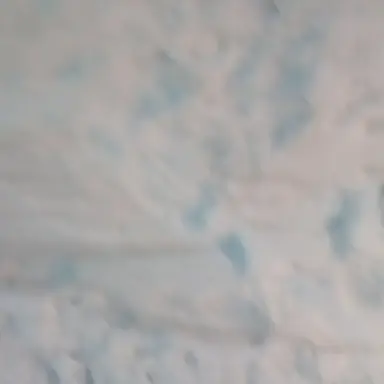 Profile image of 이동화