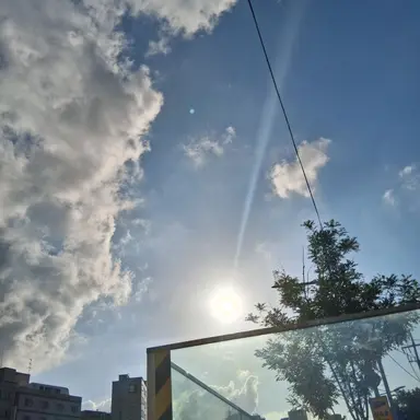 Profile image of 여우