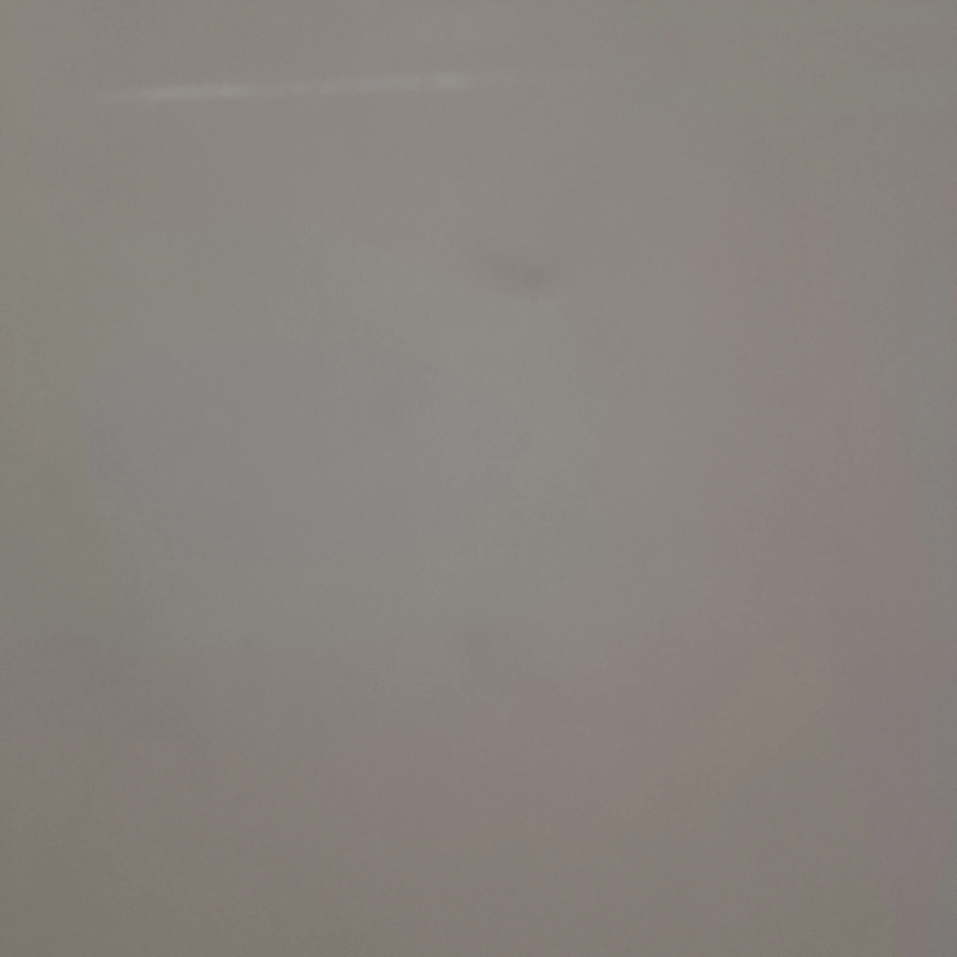 FeebleStoat4726의 고고프랜즈 여우 내친랑 나만 할꺼임