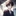 금민채