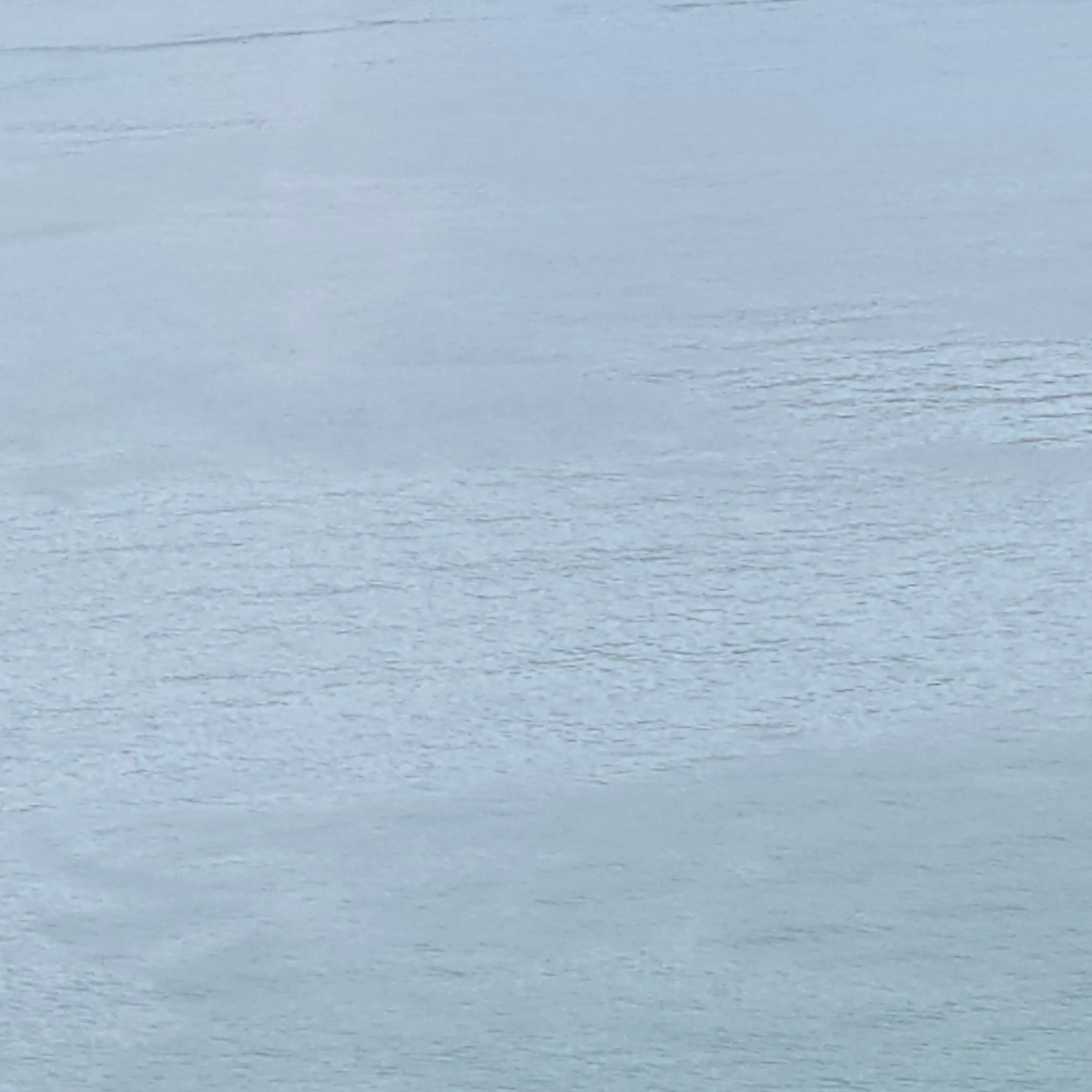 ShinyMud7697의 きるる ❤️ あゆき