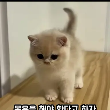 Profile image of Kyujin