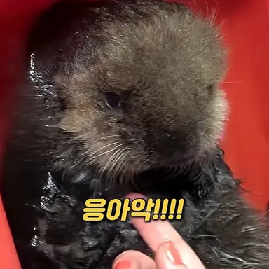 Profile image of Kim Jiwoo