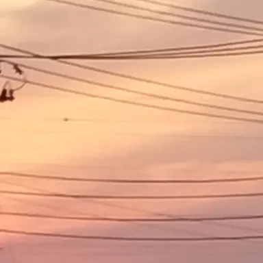 Profile image of ランドパワー側