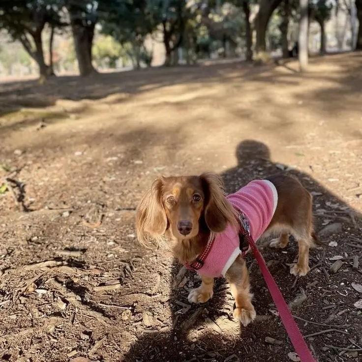 ARASHI.5.Sho의 駅の待合室の奇跡の出会い