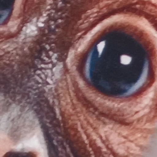 오물풍선