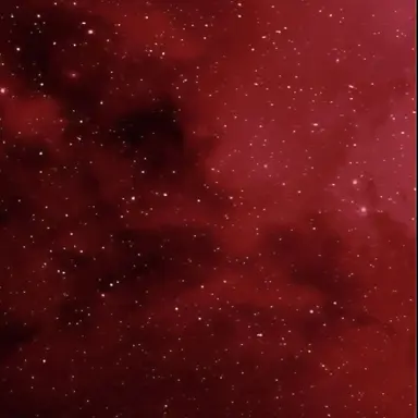 Profile image of 플래그