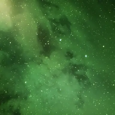 Profile image of 티푸