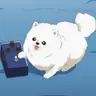 Profile image of 타마 강아지