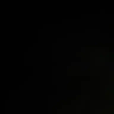 Profile image of 비트펠라하우스