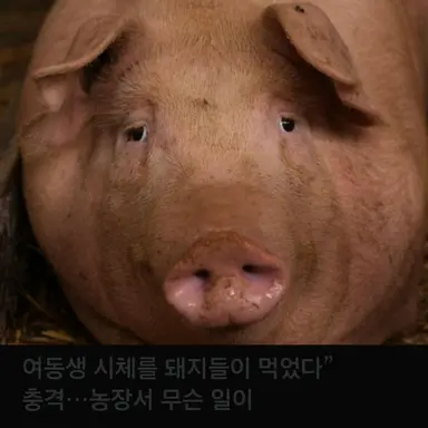 Profile image of 김찐따