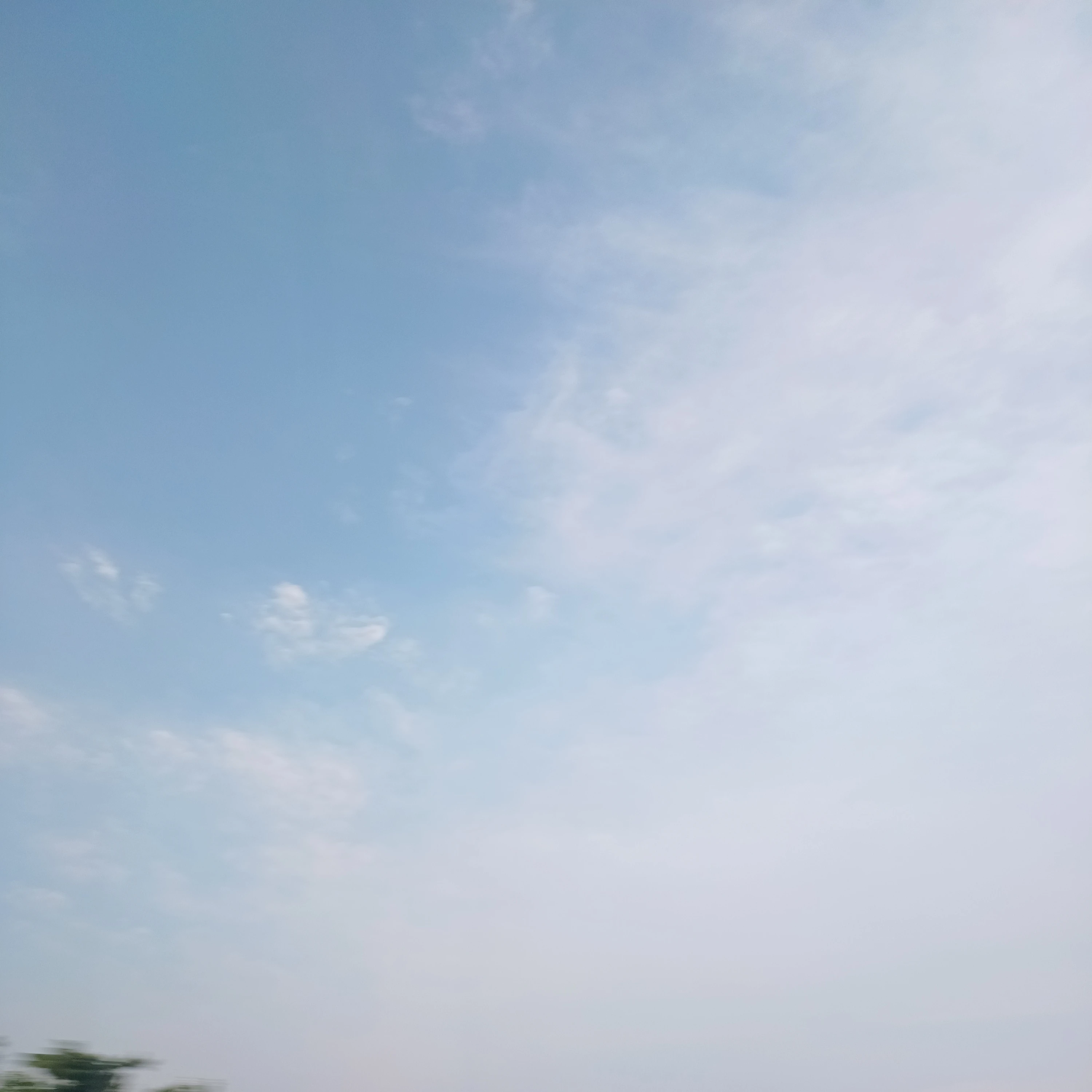 접음