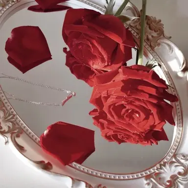 Profile image of りうら