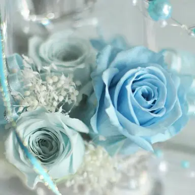 Profile image of ほとけ