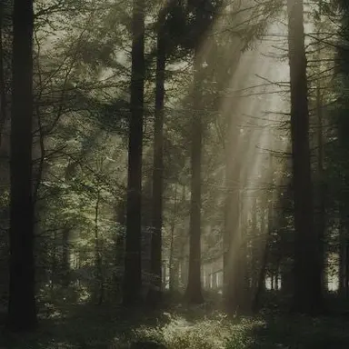 Profile image of 정형준