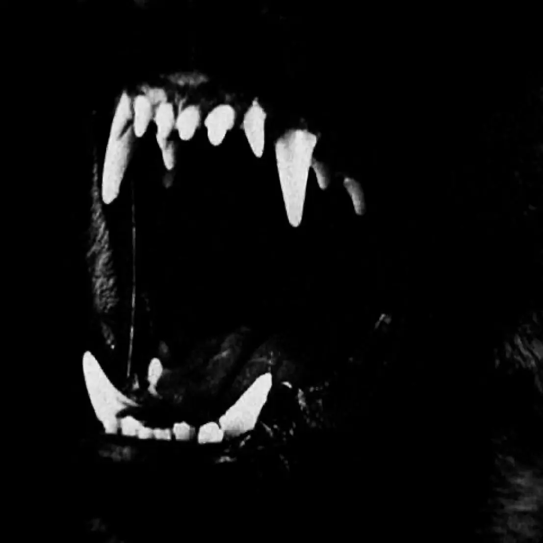 shoto_love_의 도소빈 _ 가면