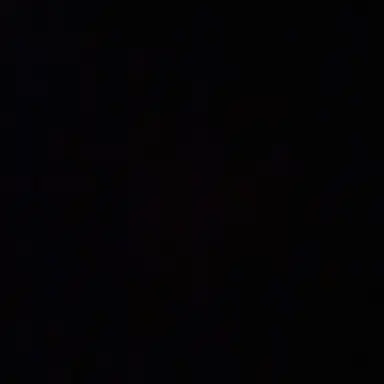 Profile image of 신유리