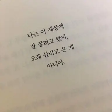 Profile image of 고가연