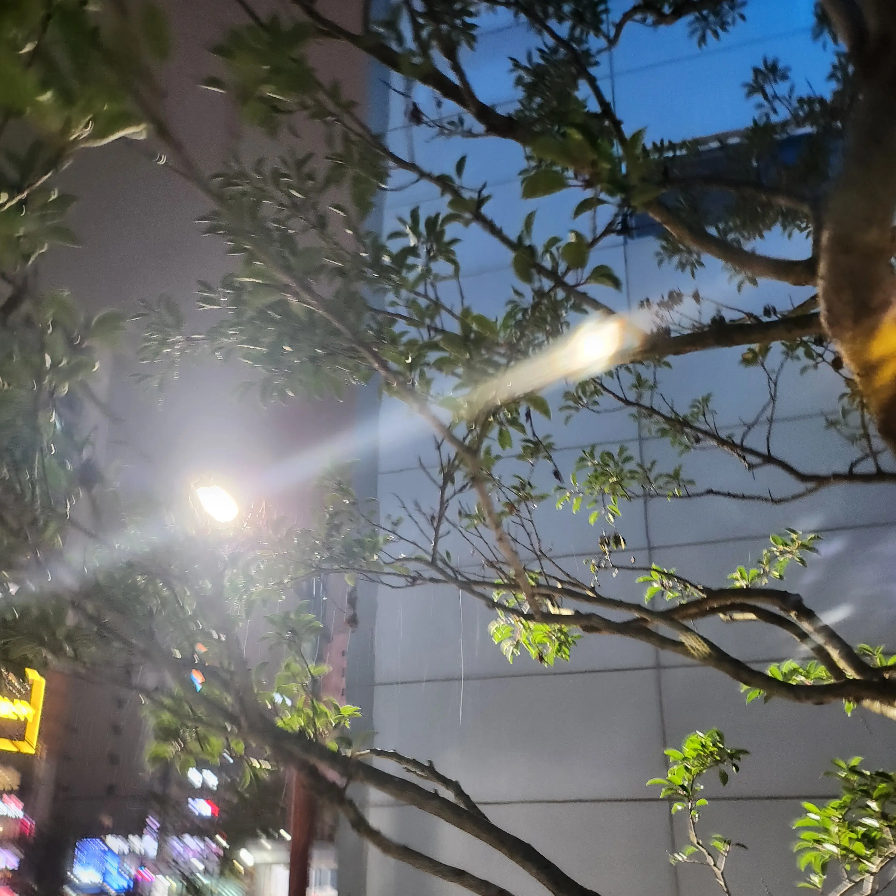 PaleEmber0620의 김준구
