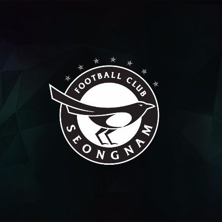 당신은 성남FC 단장이다 대표 이미지