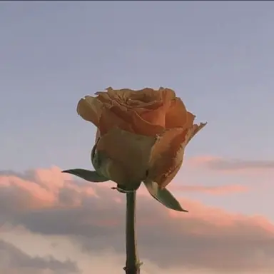 Profile image of 덕개