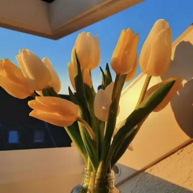 Profile image of 각별