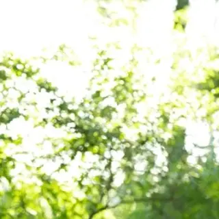 Profile image of 운터