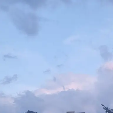 Profile image of 유성