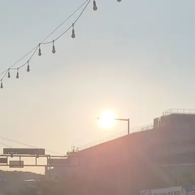 Profile image of 마플