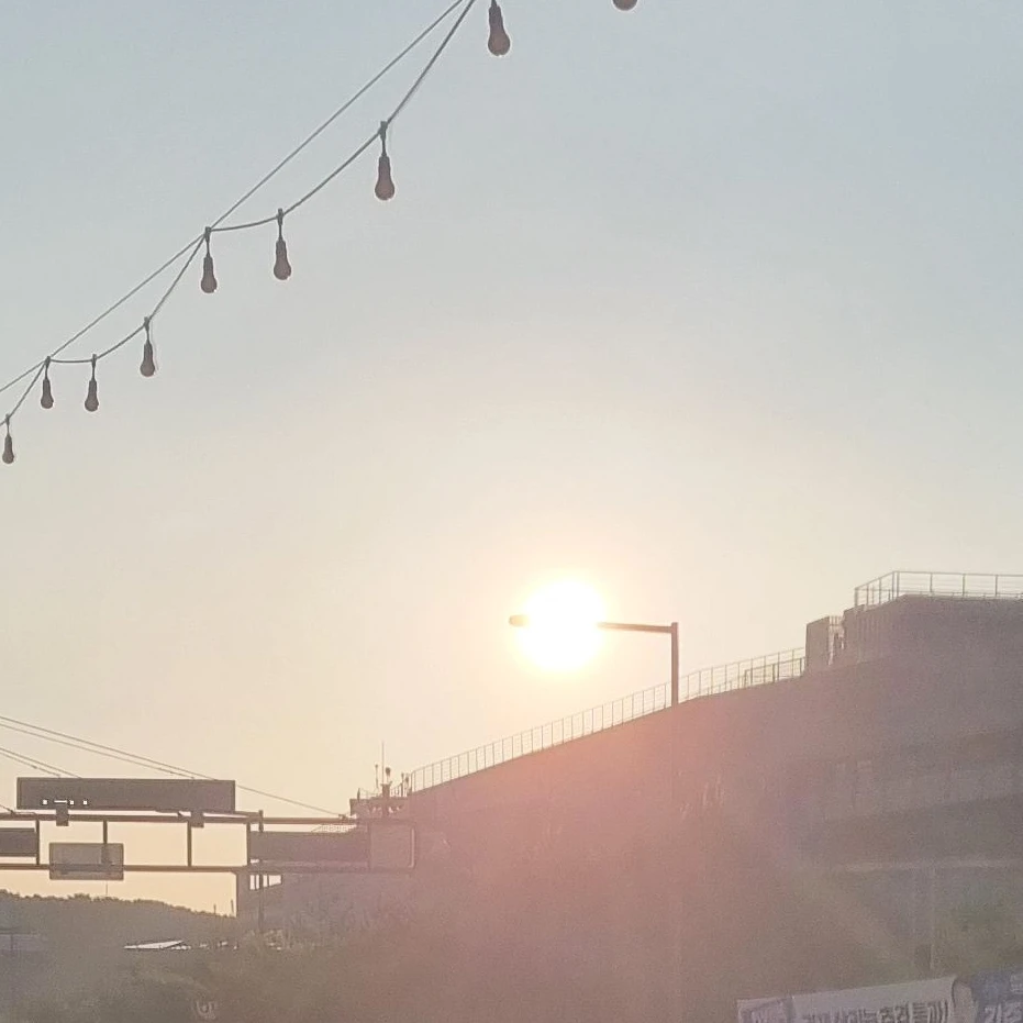 마플