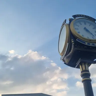 Profile image of 아이리스