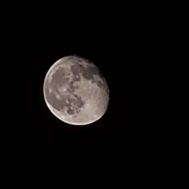 Profile image of 플순경