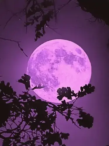 Forsaken_Creation_shed_1x의 서로의 상처를 안아주며.