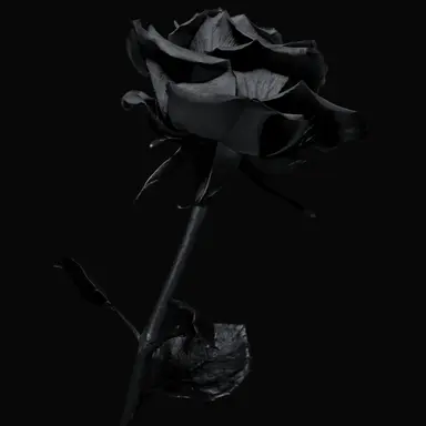 Profile image of Afterlife