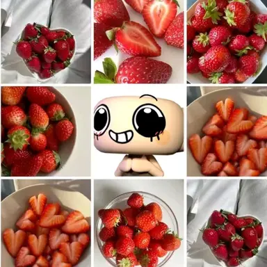 Profile image of 쉘리