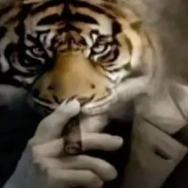 Profile image of Dave