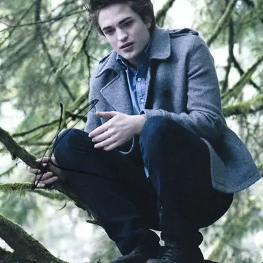 Profile image of Edward Cullen