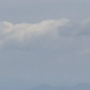 Profile image of 최범규