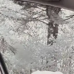 Profile image of 강태현