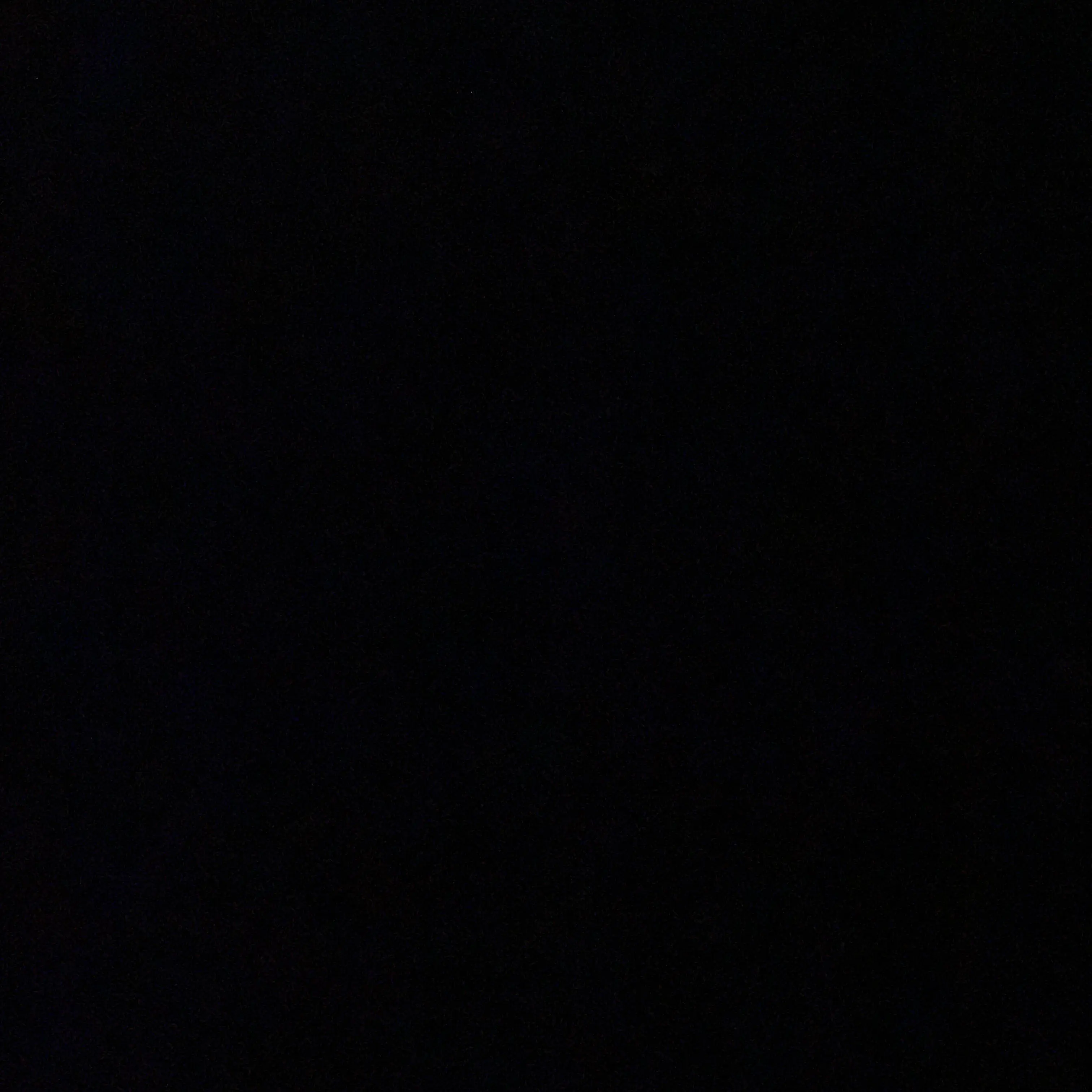 DaftlyPump9807의 여우