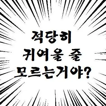 Profile image of 채밤비