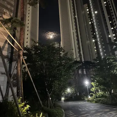 Profile image of 강 민